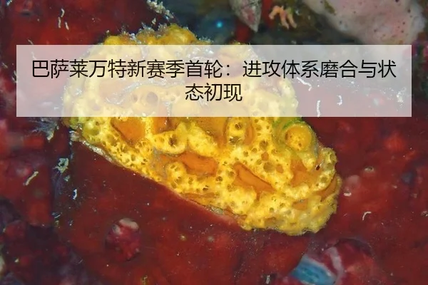 ba-sa-lai-wan-te-xin-sai-ji-shou-lun-jin-gong-ti-xi-mo-he-yu-zhuang-tai-chu-xian-2-718.jpg