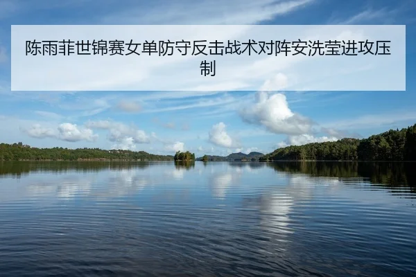 陈雨菲世锦赛女单防守反击战术对阵安洗莹进攻压制
