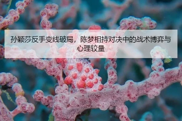 孙颖莎反手变线破局，陈梦相持对决中的战术博弈与心理较量